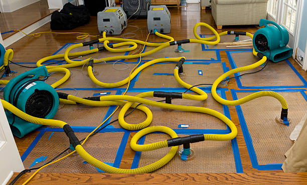 Professional Water Extraction technician working in Solon, OH